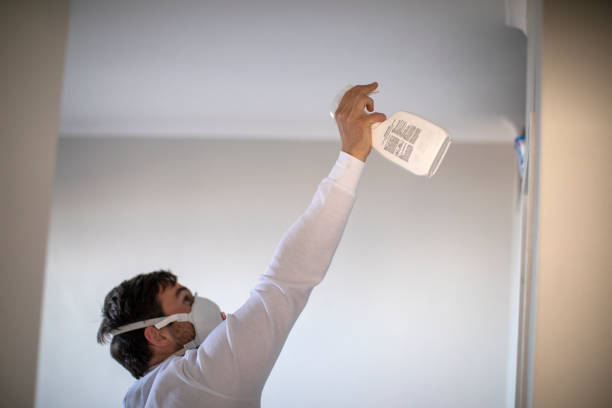 Best Same-Day Mold Removal  in Campbellsville, KY