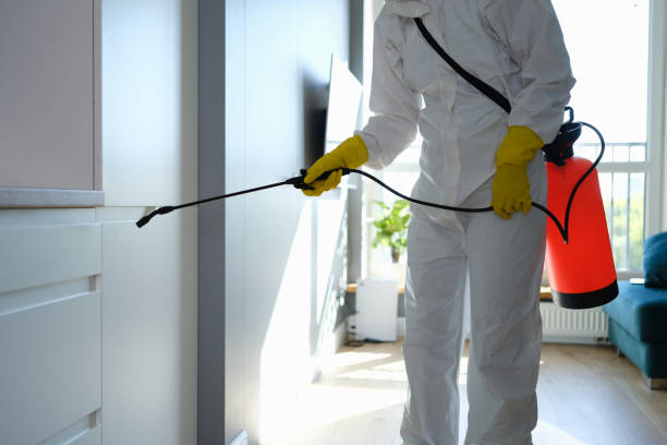 Best Mold Removal Specialists  in Campbellsville, KY