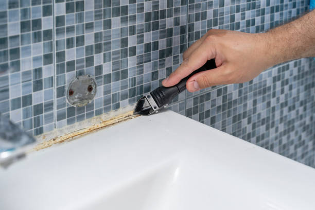 Best Mold Remediation Experts  in Campbellsville, KY
