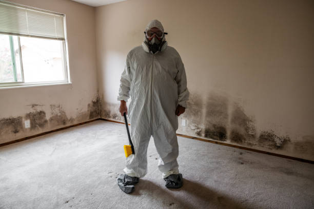Best Commercial Mold Removal  in Campbellsville, KY